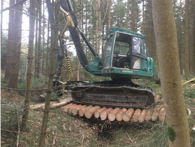 Travaux forestiers